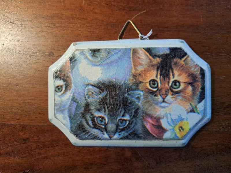 Bordje poes 1