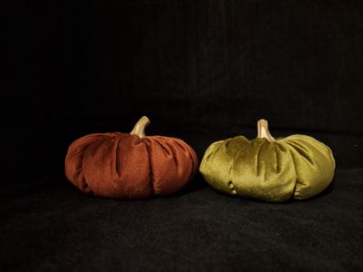 Set van 2 pompoenen