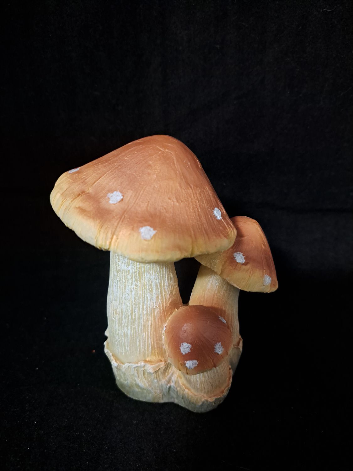 Groepje paddenstoelen