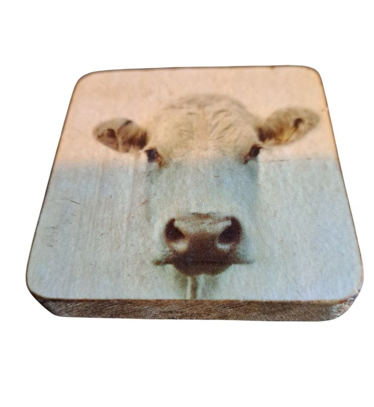 Koelkastmagneet koe 2