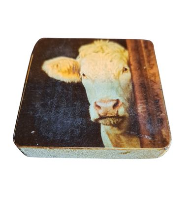 Koelkastmagneet koe 5