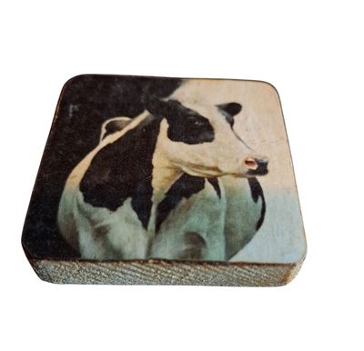 Koelkastmagneet koe 4