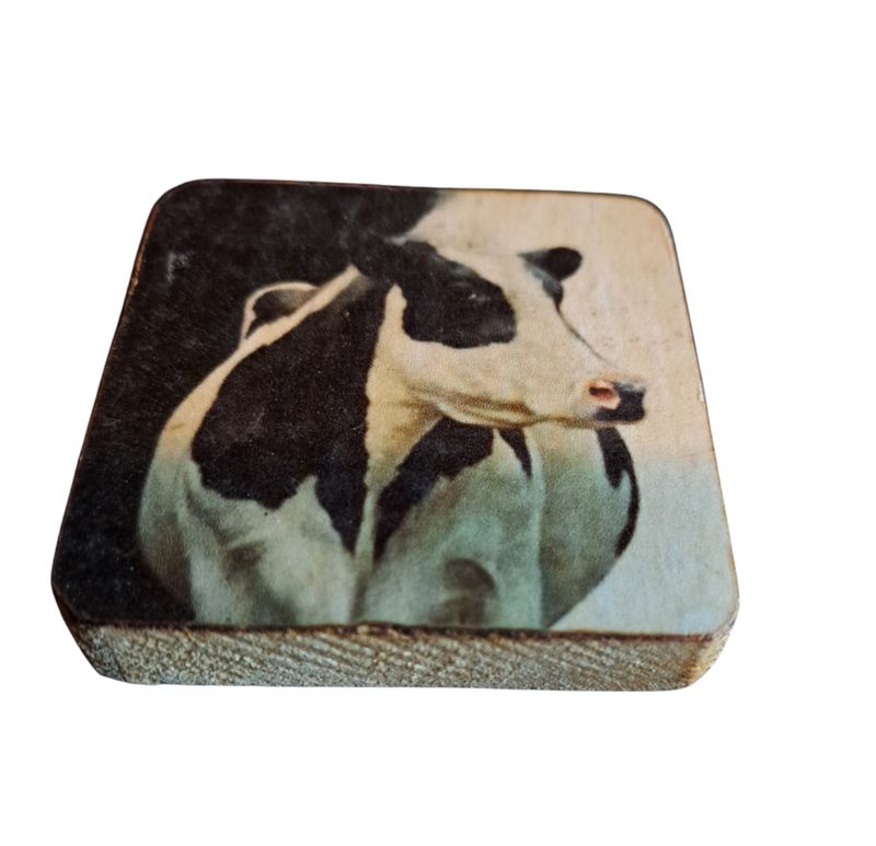 Koelkastmagneet koe 4