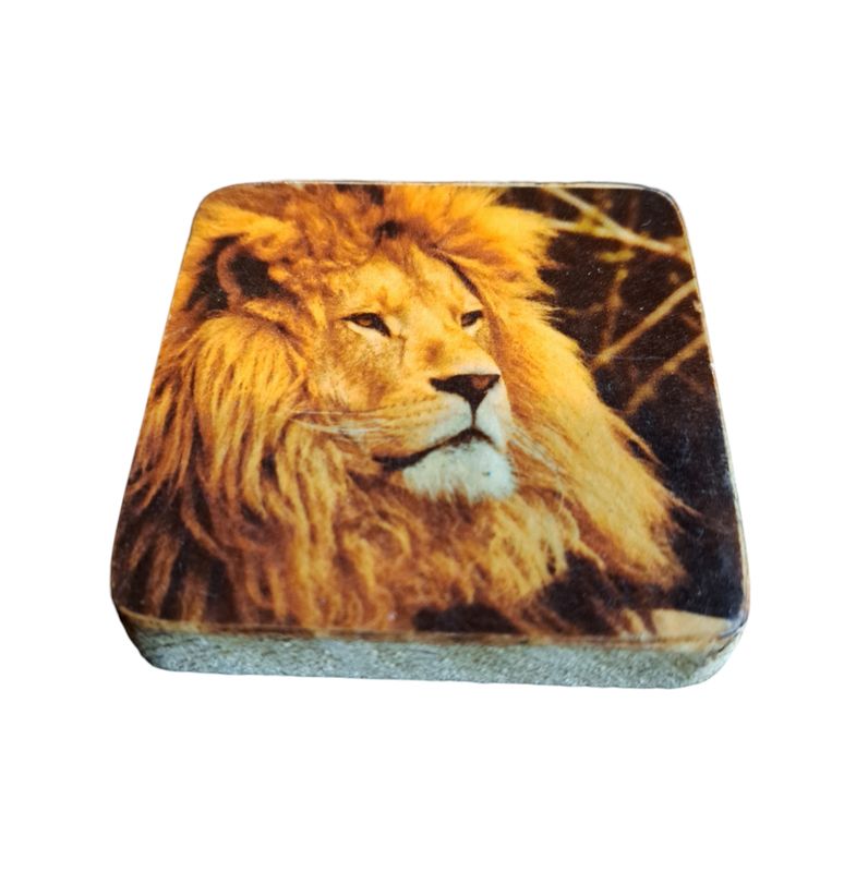 Koelkastmagneet leeuw