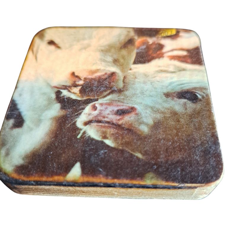 Koelkastmagneet koe 1