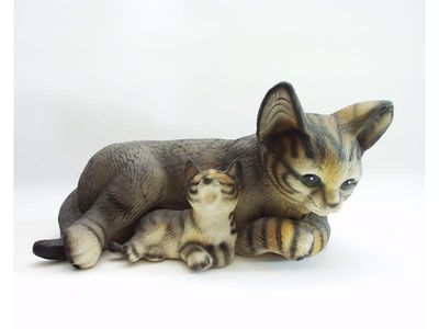 Kat met jong Kat met jong