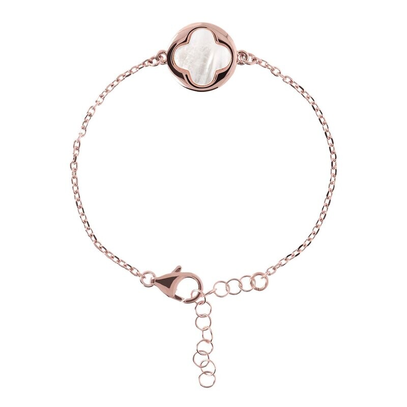 Alba Collection