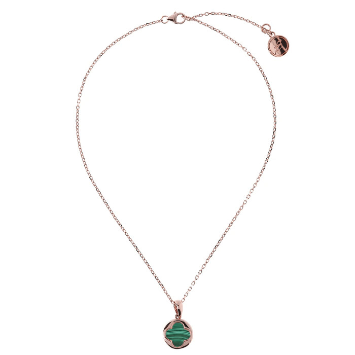 Alba Collection