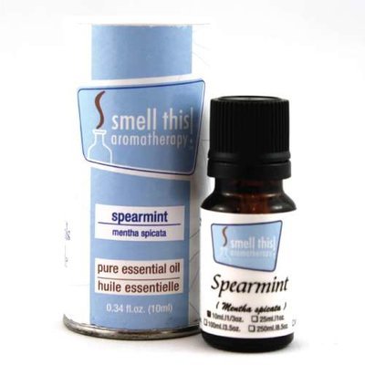 Spearmint - mentha spicata