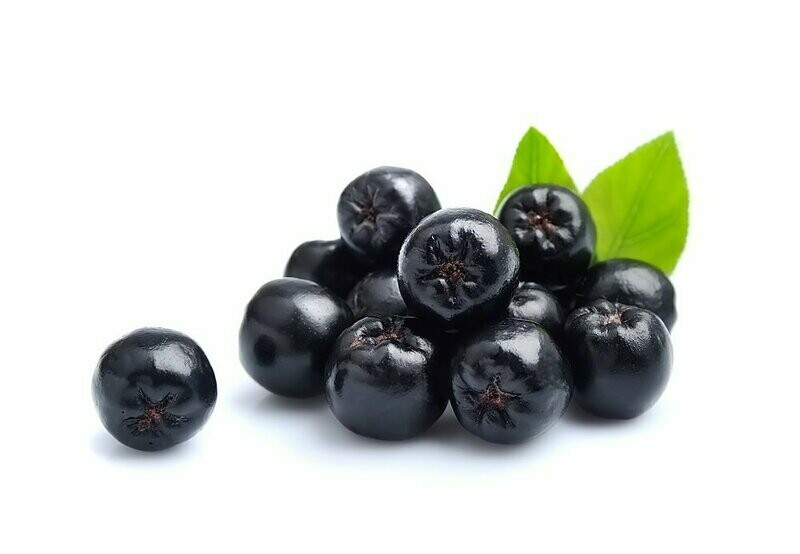 Aronia