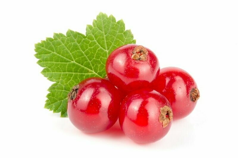 Currant
