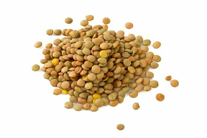 Lentils