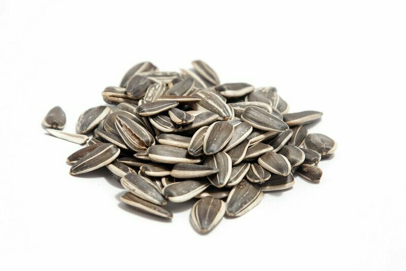 Sunflower Seeds