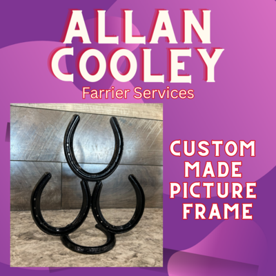 Custom Horse Shoe Frame