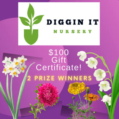Diggin It Nursery  - 2 Prizes