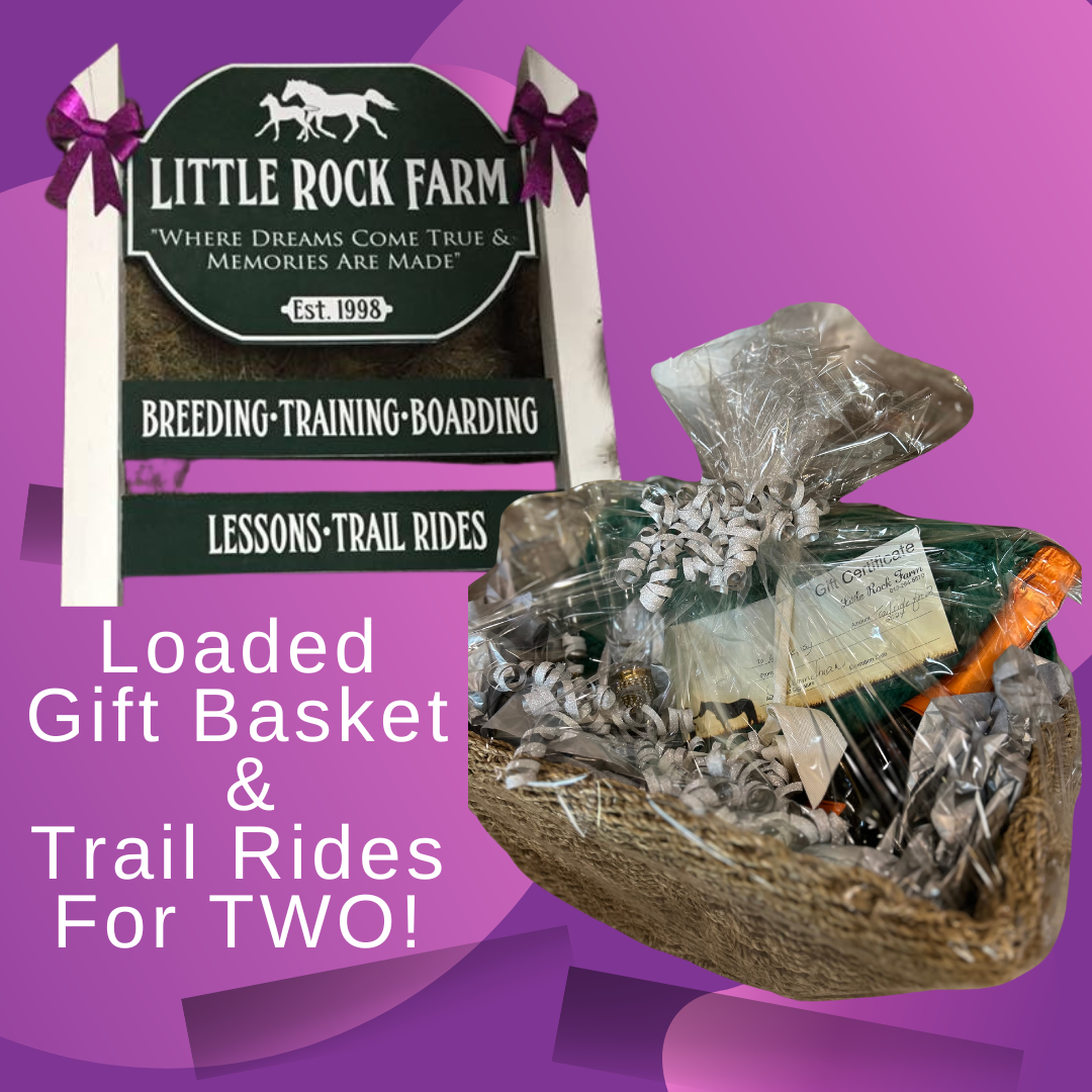 Loaded Gift Basket &amp; Trail Ride