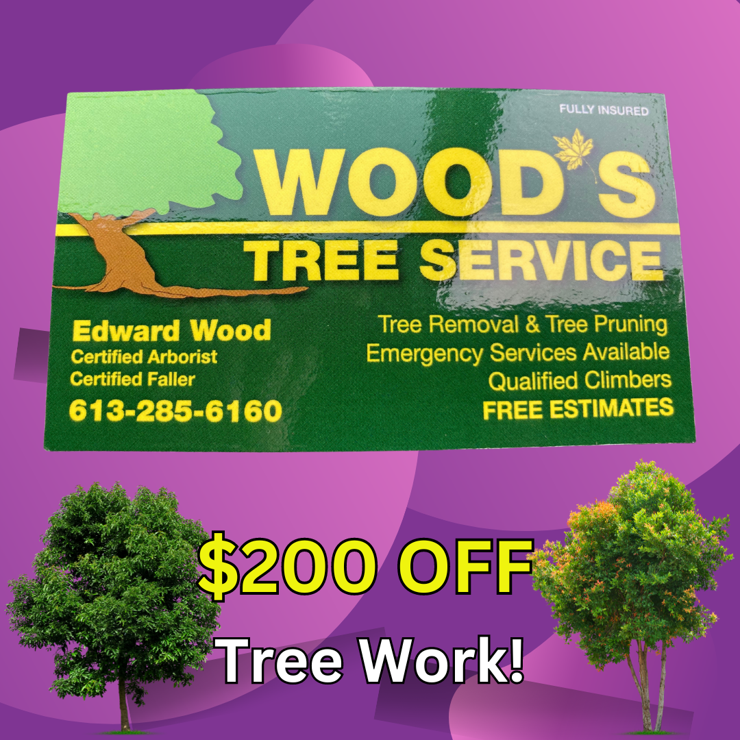  200 Off Tree Work