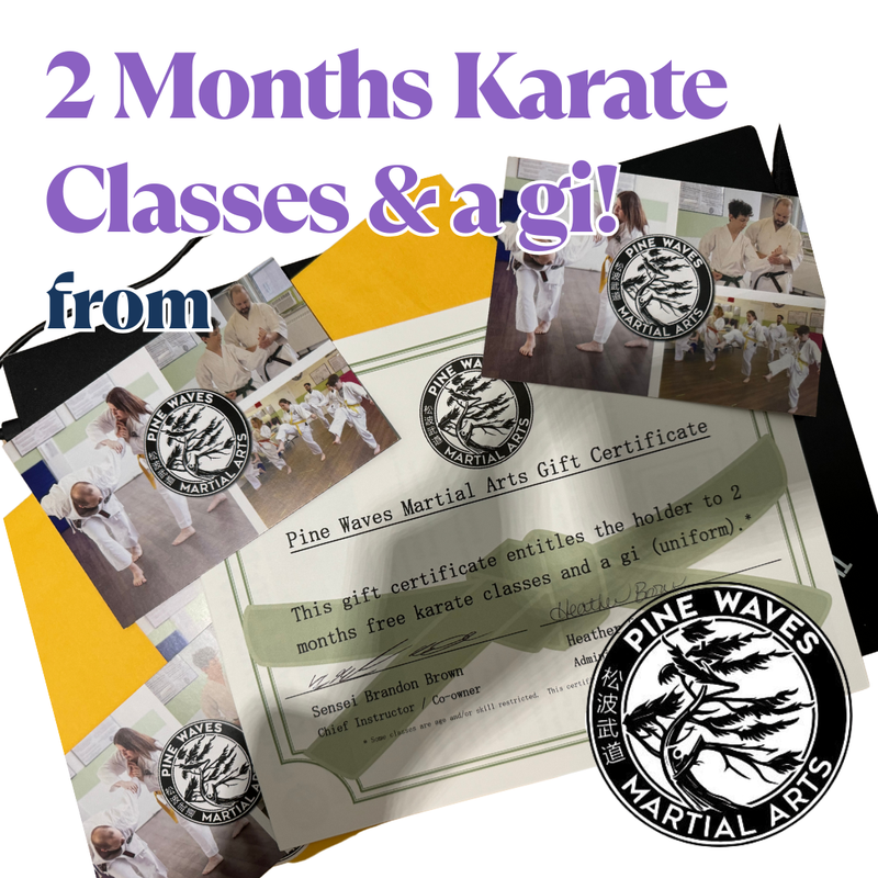 Martial Arts Free Pass!