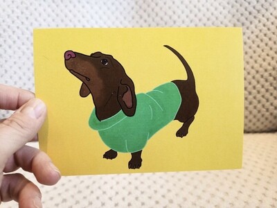 Postcards - Pooches or Rainbows