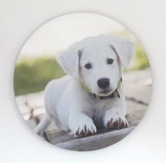 Personalized Photo Magnet (Round/Square)