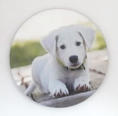 Personalized Photo Magnet (Round/Square)