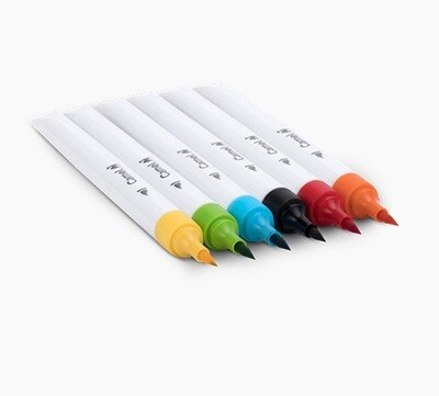 Camlin Brush Pens (Set of 6/12 shades)