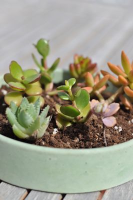 RESERVA TALLER CENTRO DE MESA 19 Y 20 DE JULIO