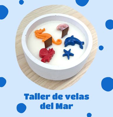 TALLER DE VELA DEL MAR EN BOWL DE HORMIGÓN