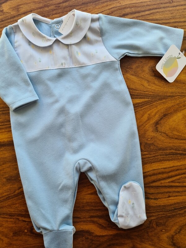 Babygrow Leaves Azul