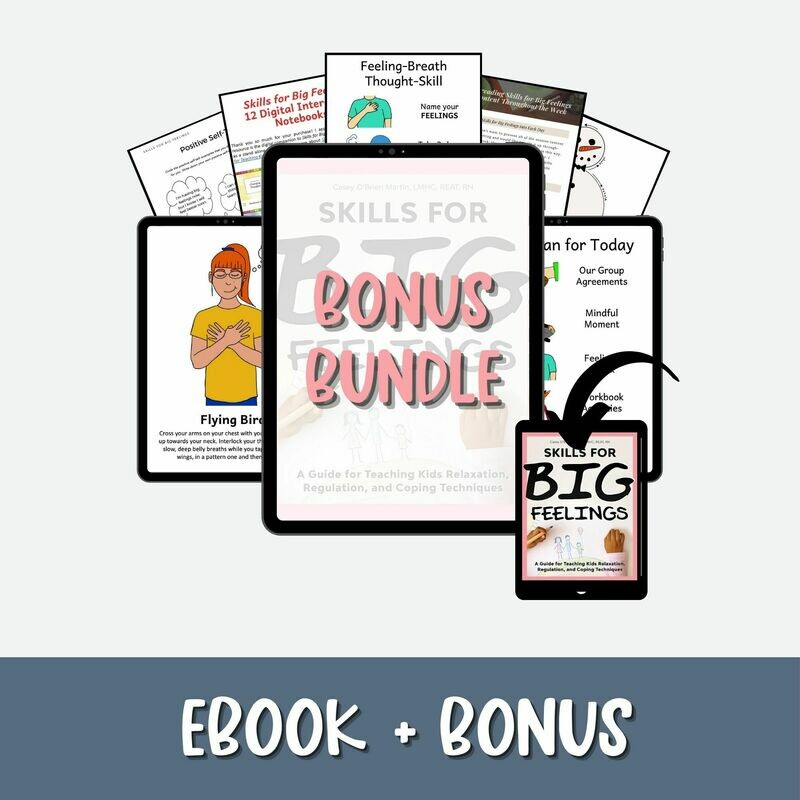 Skills for Big Feelings eBook Plus BONUS BUNDLE
