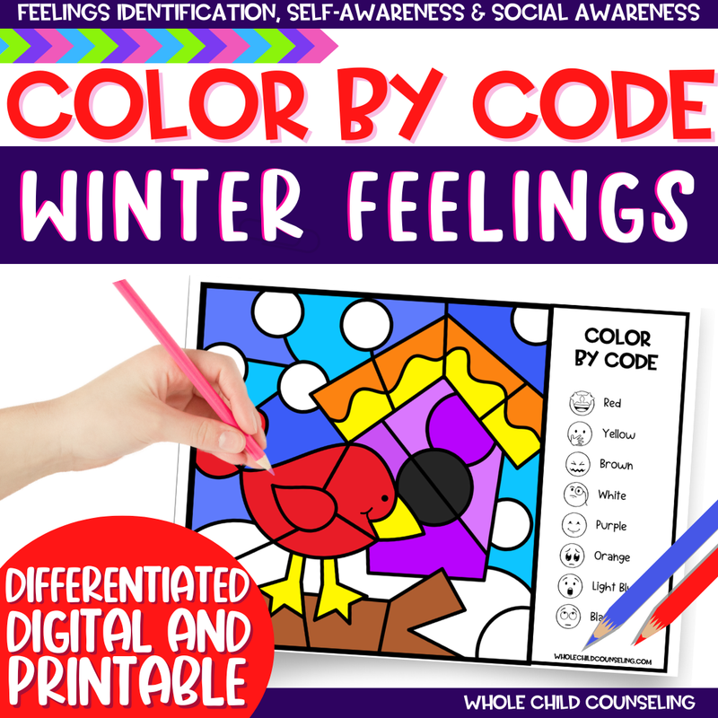 Winter Color By Code Bird Feelings Activity Winter Color By Code Bird Feelings Activity