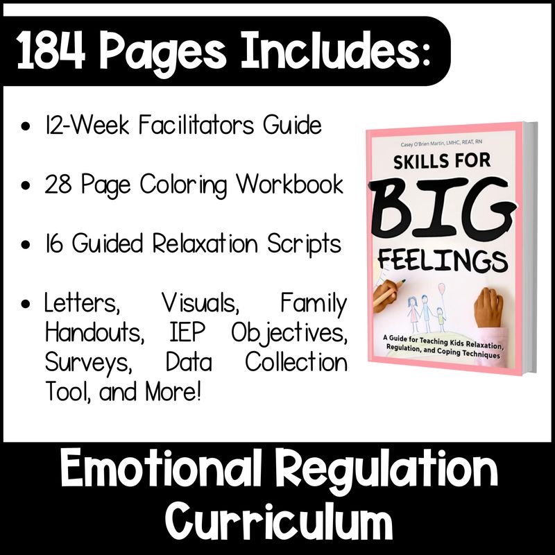 Skills for Big Feelings Paperback edition