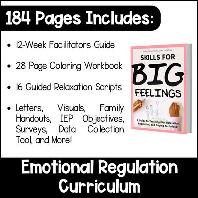 Skills for Big Feelings Paperback | 12-Week Emotional Regulation &amp; Coping Skills Curriculum