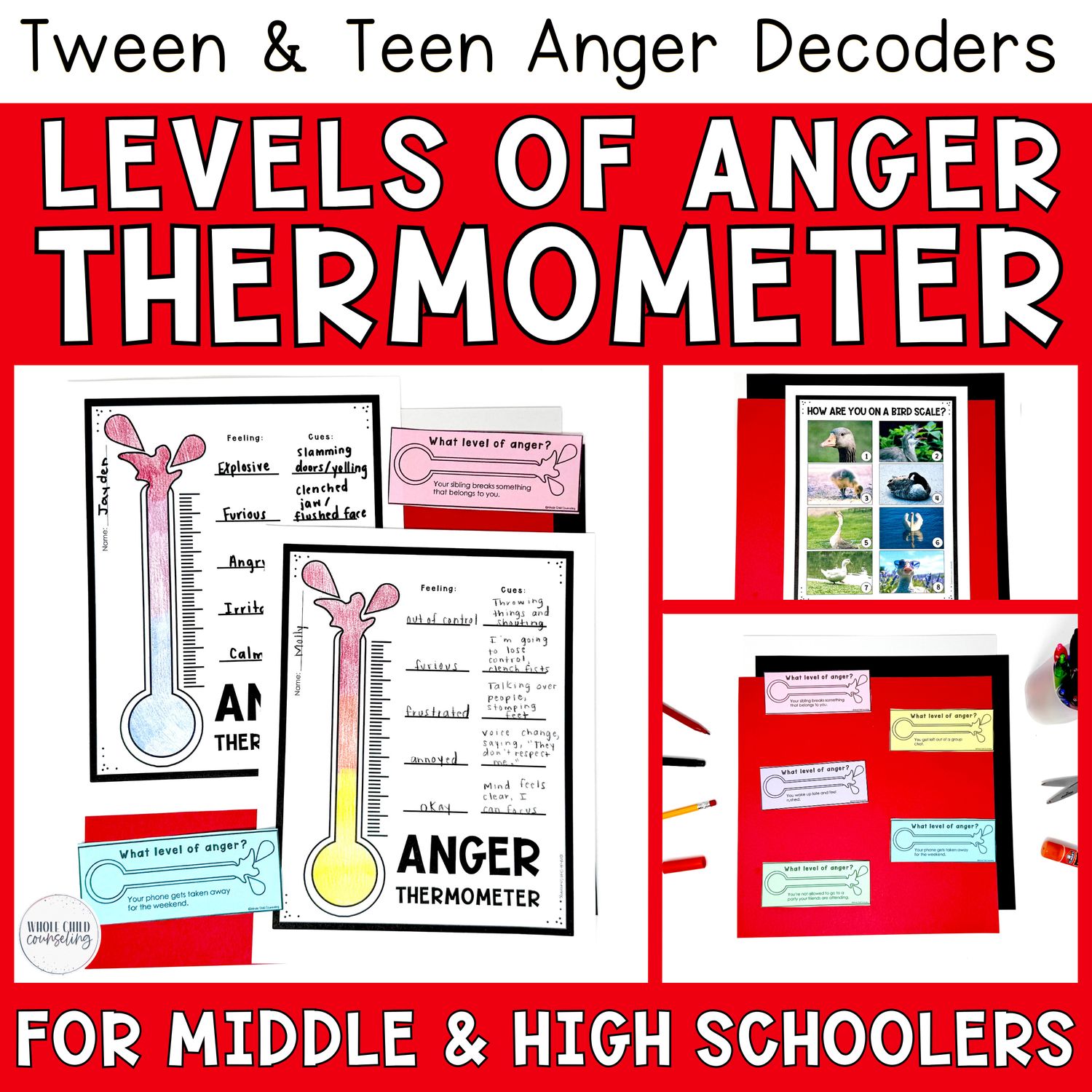 Intensity Levels of Anger Thermometer | Anger Decoders Curriculum Lesson 3