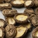 Shiitakés sans pied diamètre 1-3 cm - 100 g