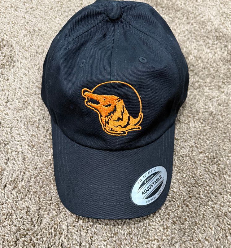 SPIRITUS SYSTEMS X WRMFZY POSSUM HAT BASEBALL CAP LIMITED EDITION COLLABORATION RARE SOLD OUT