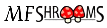 Buy Magic Mushrooms Dispensary Ann Arbor Michigan