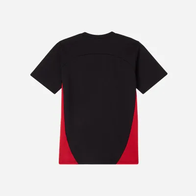 AC MILAN 24/25 training - PUMA