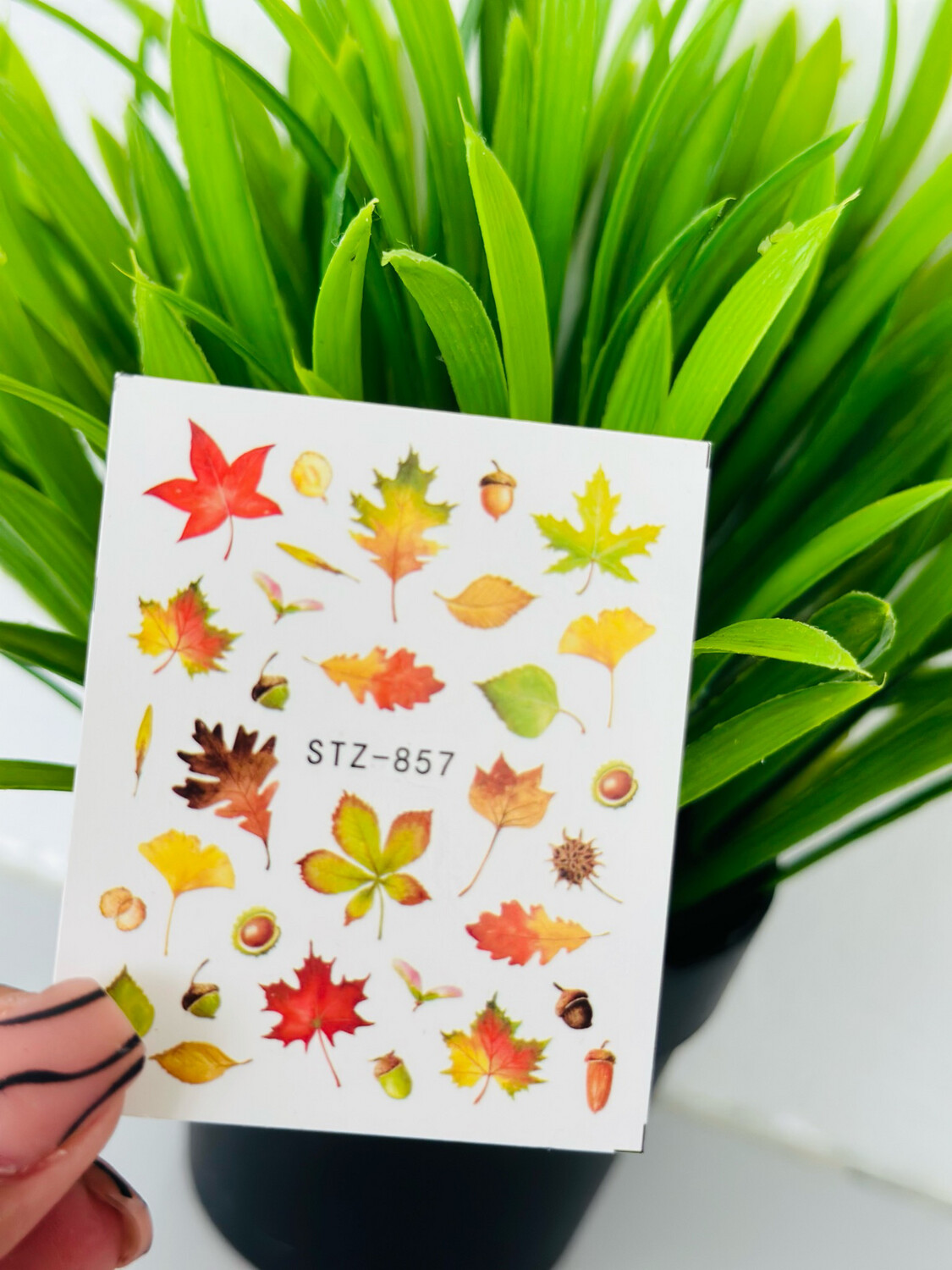 Stikers leaves 857