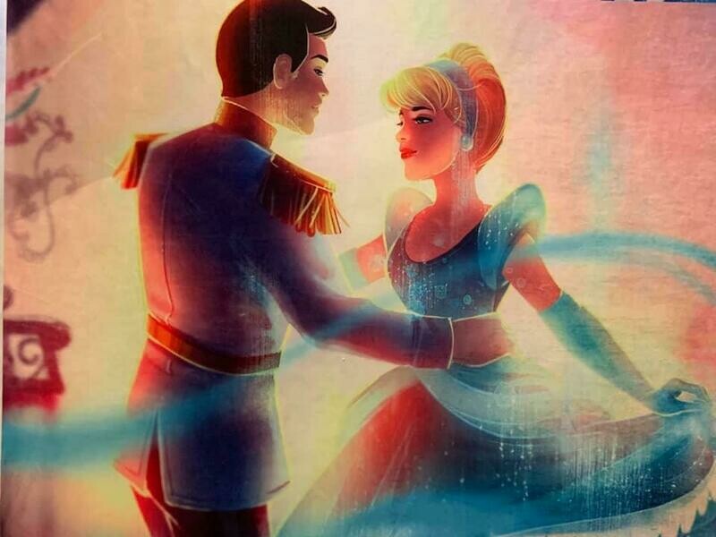 Minky Cendrillon