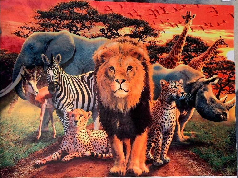 Minky Animaux Savane