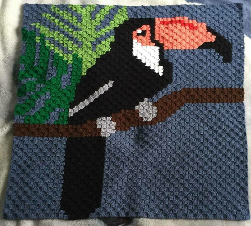 Doudou Toucan