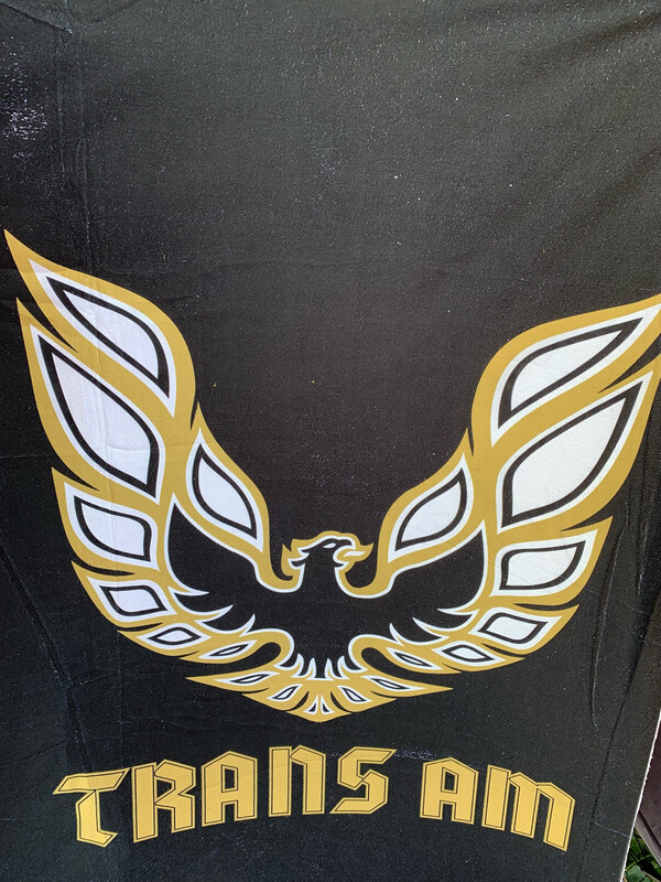 Ratine 100% polyester Trans am 