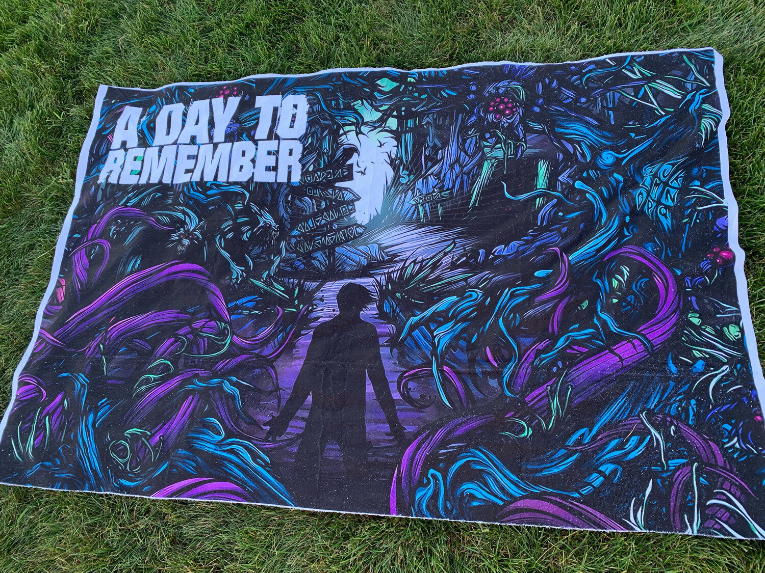 Ratine 100% polyester A day to remember