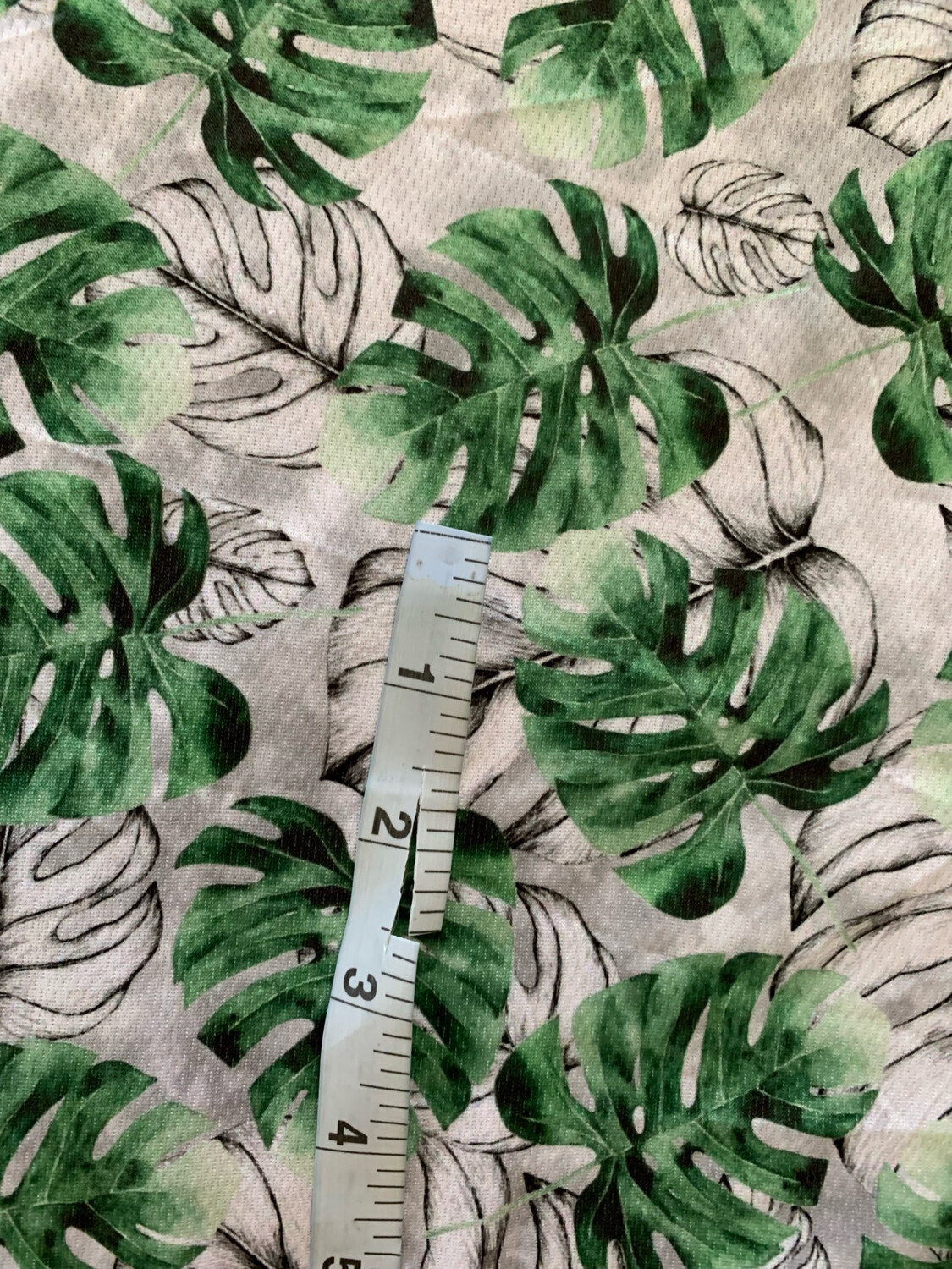 Awj monstera