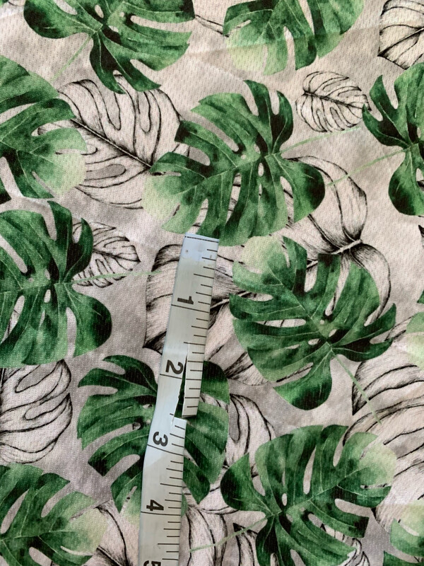 Awj monstera
