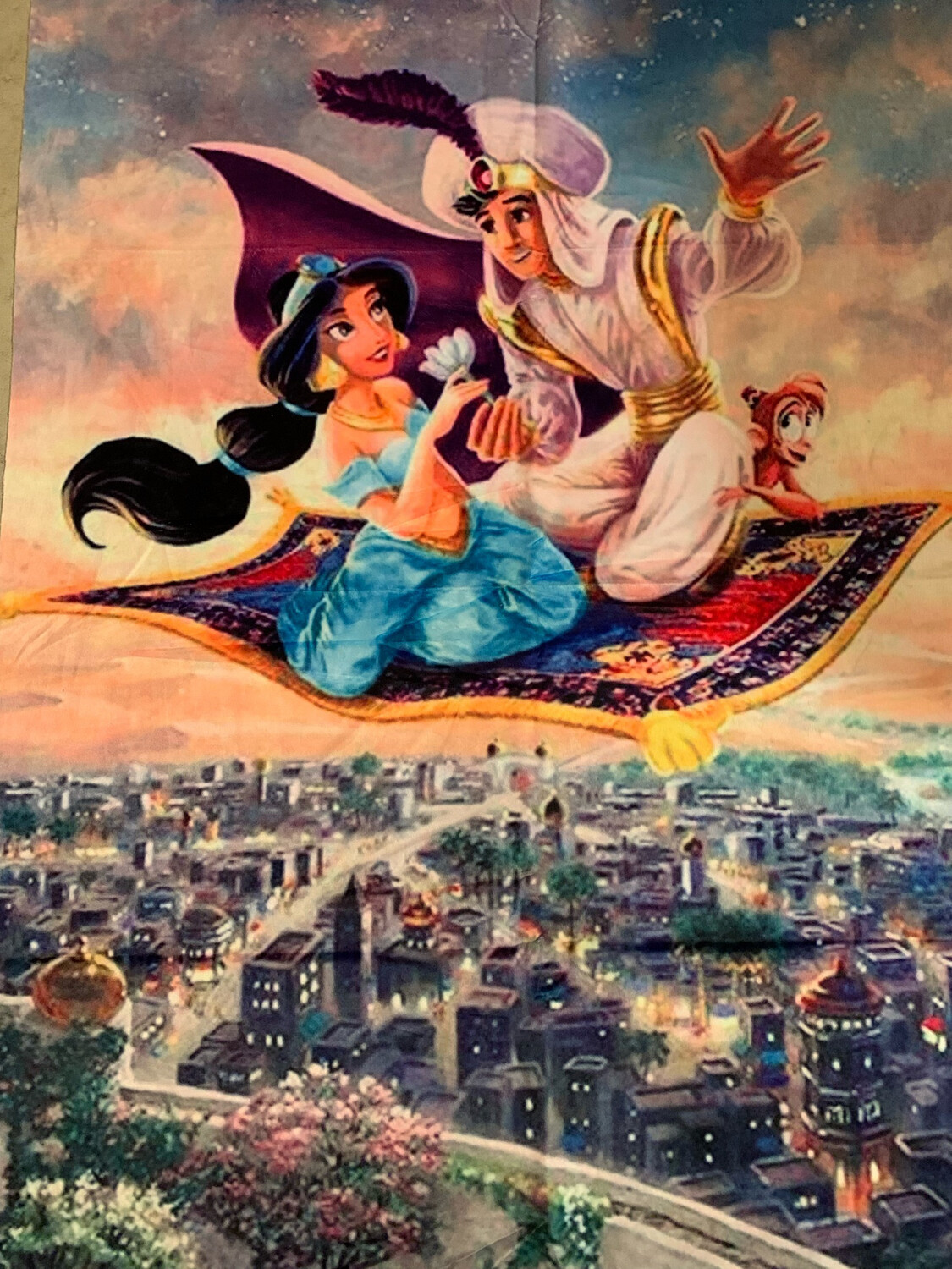 Minky Aladin et jasmine