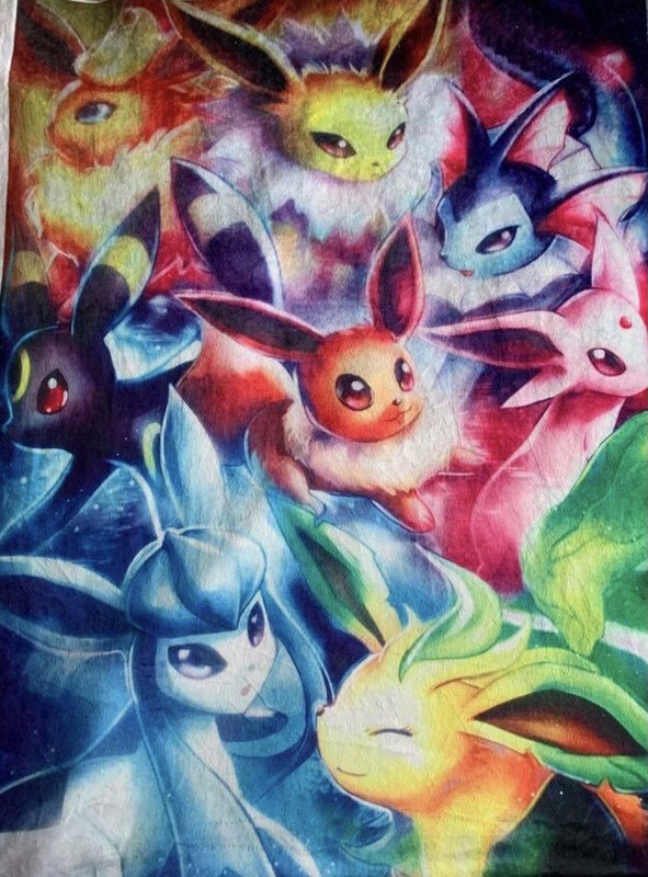 Ratine 100 % polyester pokémon