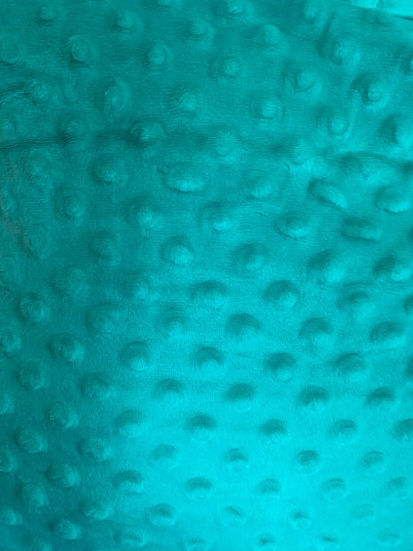 Minky Dot vert aqua