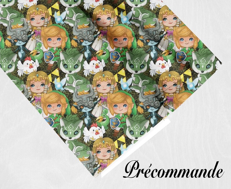 Précommande Link Zelda